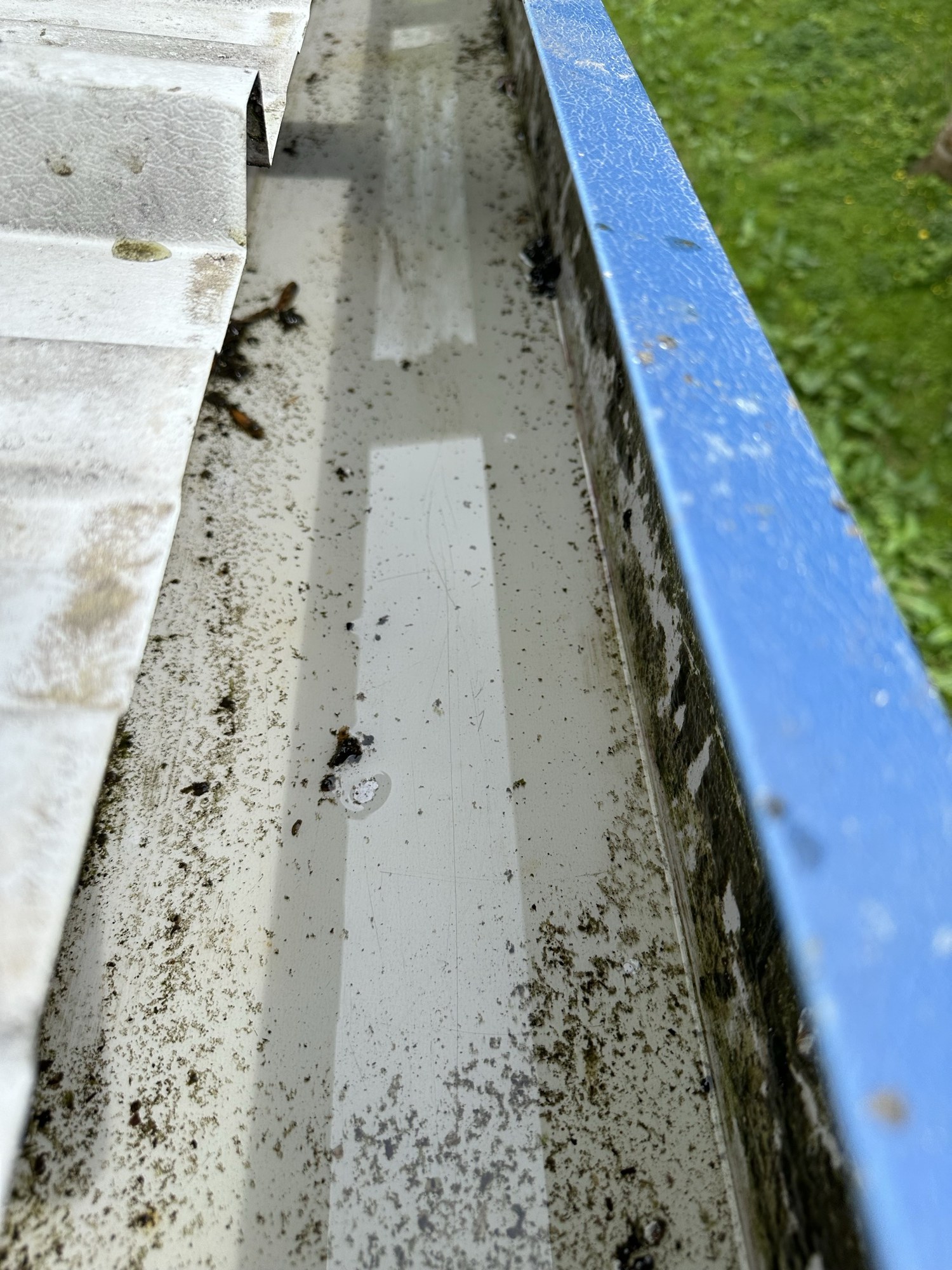 Close-up of a dirty commercial property gutter before cleaning